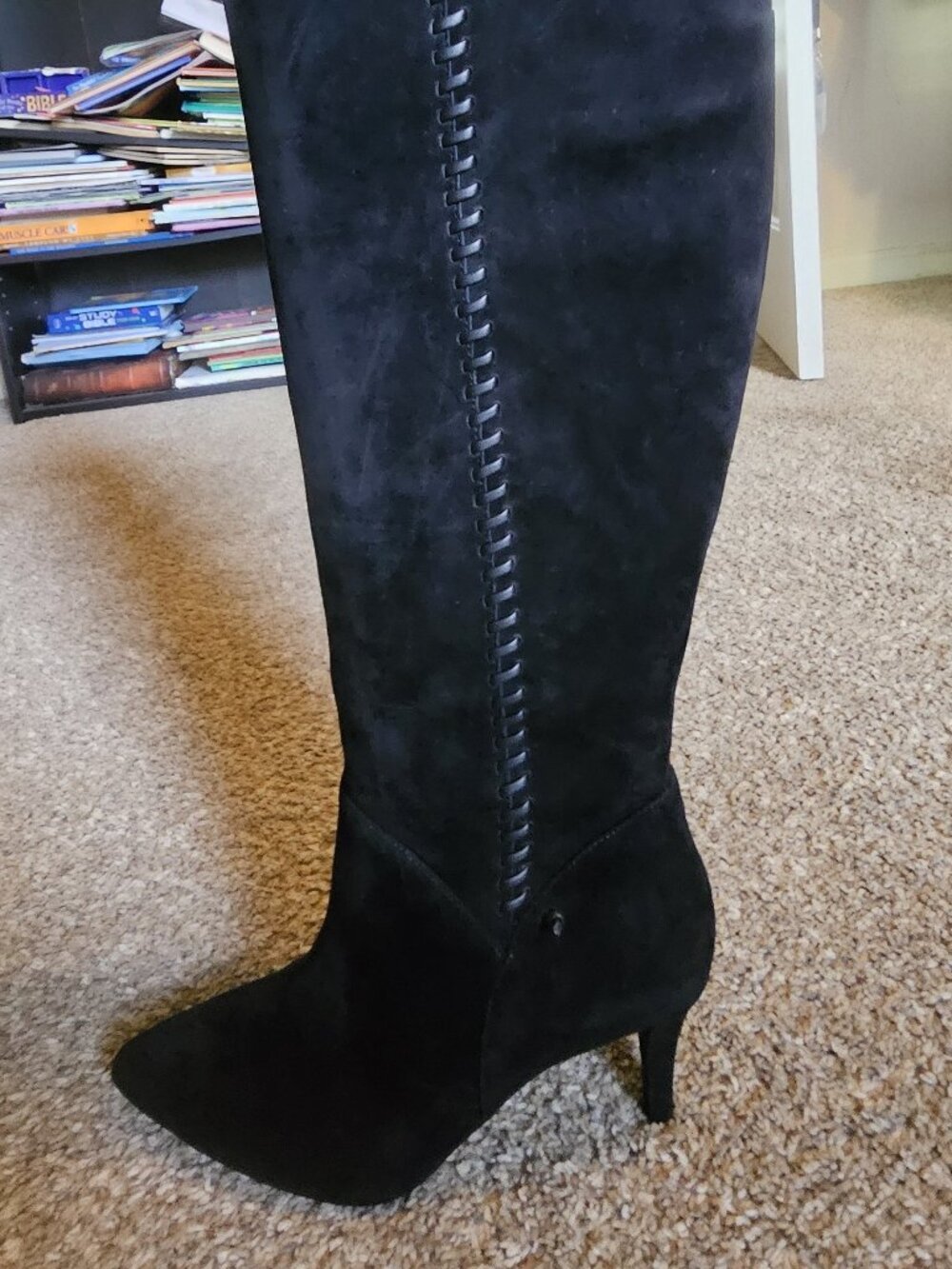 Vince Camuto Seselti Tall Suede Boots (size 9.5 medium)